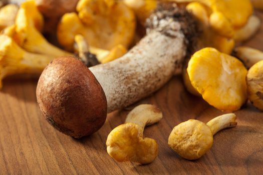 fresh mushrooms