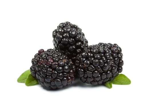 fresh blackberries isolated 
