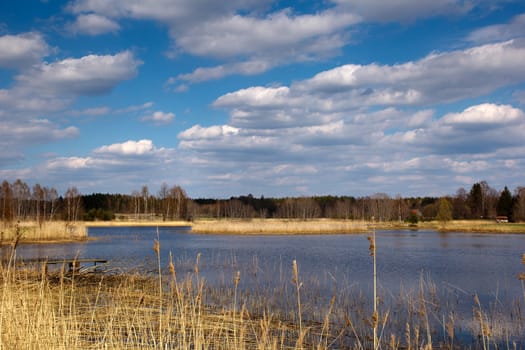 Lake in the countryside at spring day
