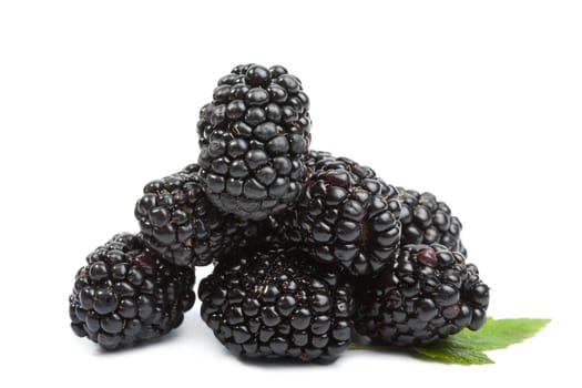 fresh blackberries isolated