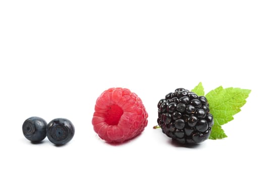 fresh berries isolated 