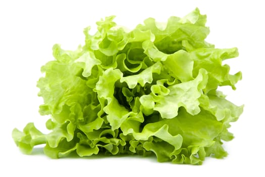 fresh lettuce isolated
