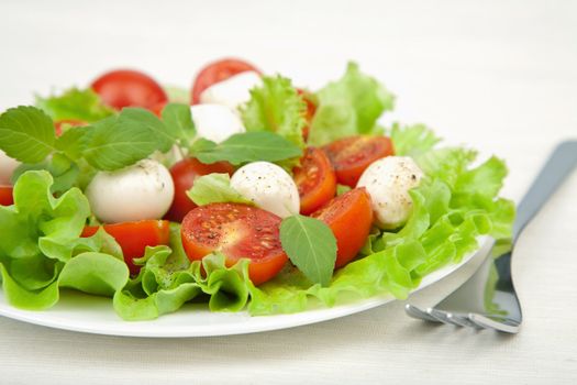 salad with tomatoes and mozzarella
