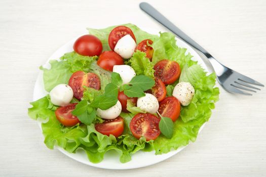 salad with tomatoes and mozzarella 