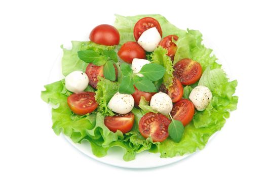 salad with tomatoes and mozzarella isolated