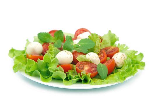 salad with tomatoes and mozzarella isolated
