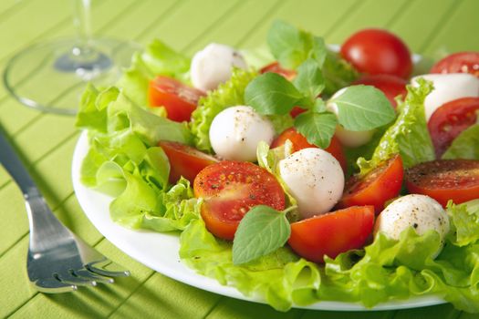 salad with tomatoes and mozzarella
