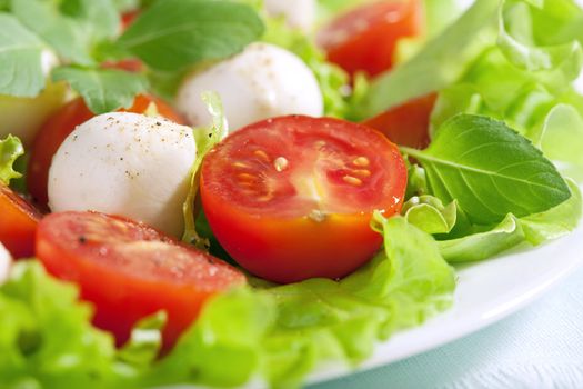 salad with tomatoes and mozzarella

