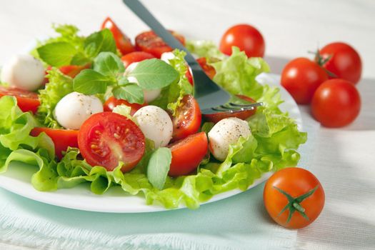 salad with tomatoes and mozzarella