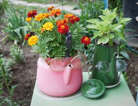 Two old kettles used in garden design