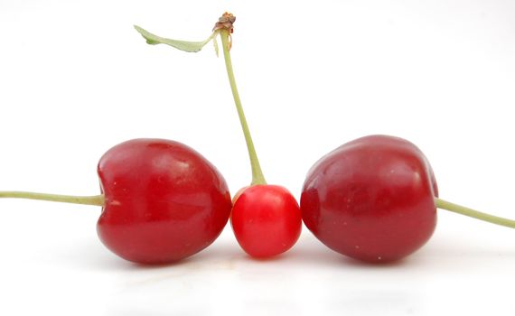 cherry