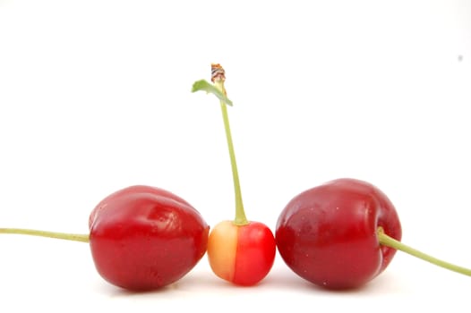 cherry
