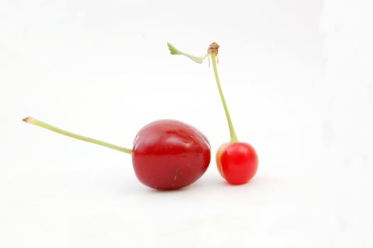 cherry