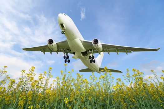 Passenger aircraft takes off over the summer meadow