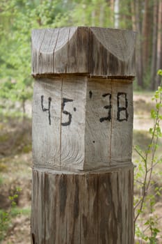 A pillar at the intersection of firebreaks in the forest
