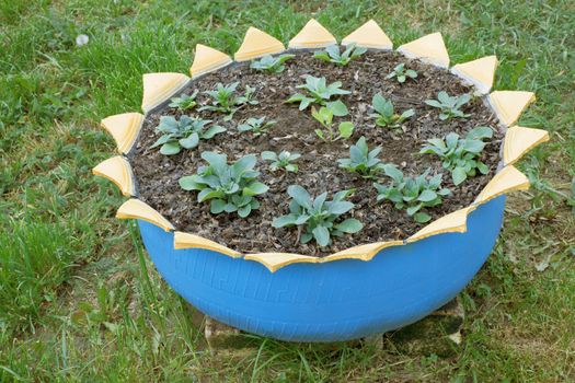 A flower bed made ​​from old car tires