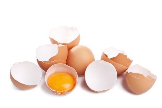 eggs isolated