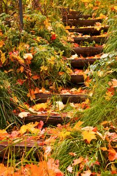 steps into autumn