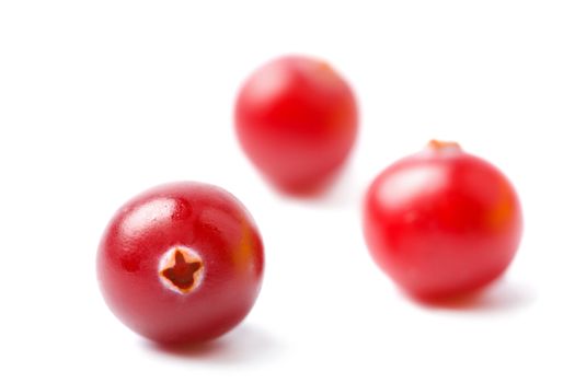 ripe cranberries isolated 
