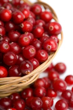 ripe cranberries in bowl isolated 