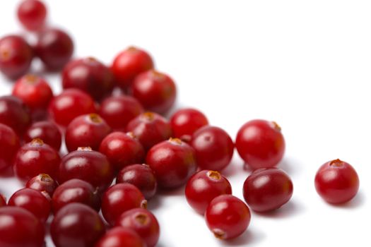 red cranberries isolated
