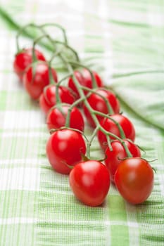 ripe tomatoes over green 
