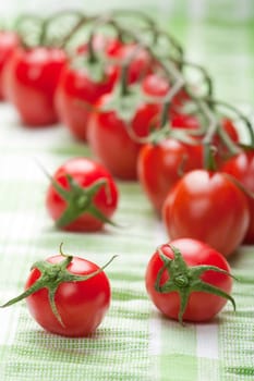 ripe tomatoes over green
