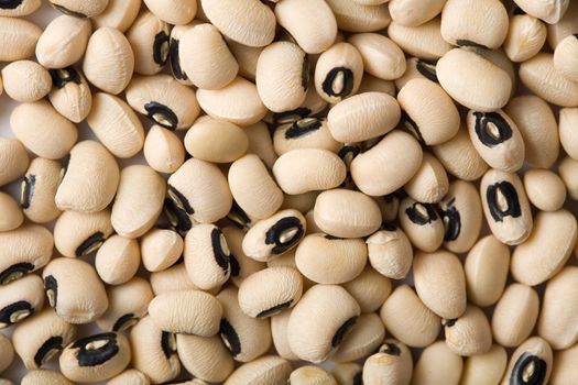 white haricot beans background
