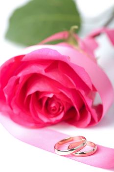 Gold wedding rings and pink rose
