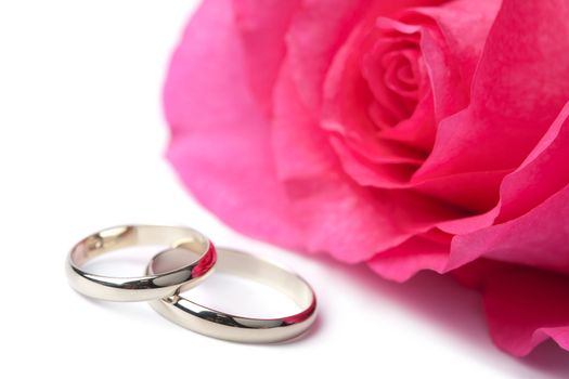 Gold wedding rings and pink rose isolated
