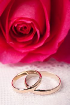 Gold wedding rings and pink rose
