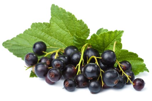 fresh black currant isolated