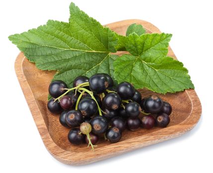 black currant in bowl isolated 