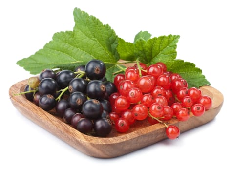 currant in bowl isolated