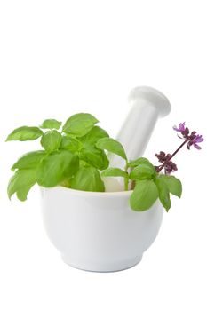 mortar with herbs isolated