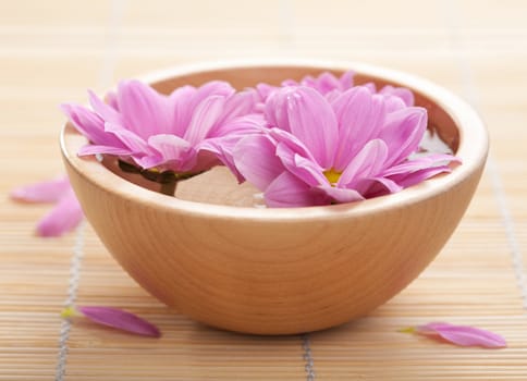pink flowers in bowl 