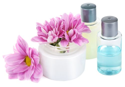 natural cosmetic set isolated 