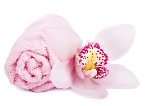towel and orchid isolated