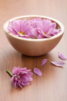 pink flowers in bowl