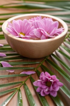 pink flowers in bowl 