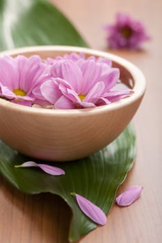 pink flowers in bowl 