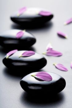 massage stones and petals