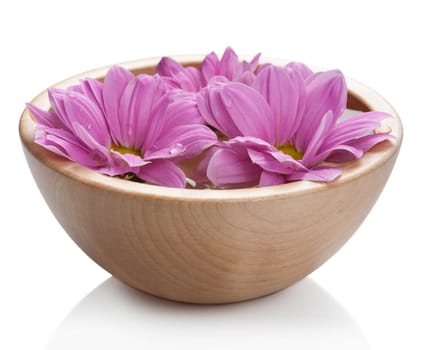 pink flowers in bowl isolated