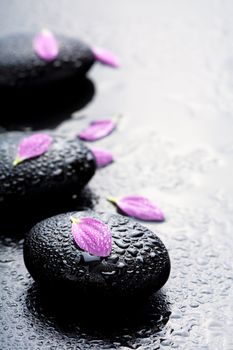 spa stones and petals 