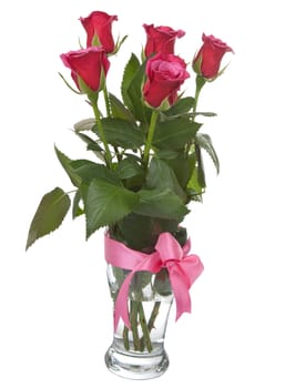 roses in vase isolated 