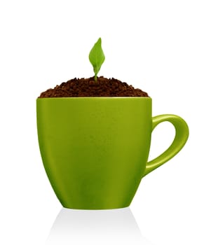 Young plant growing in green mug, isolated on the white backgrounds