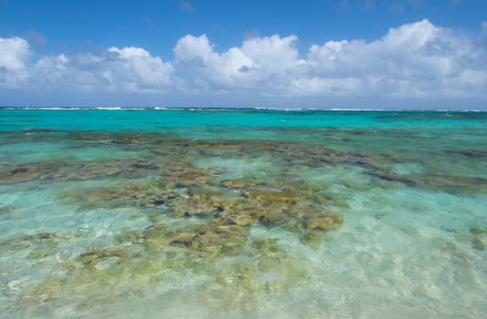 Aqua caribbean waters and blue cloud filled sky