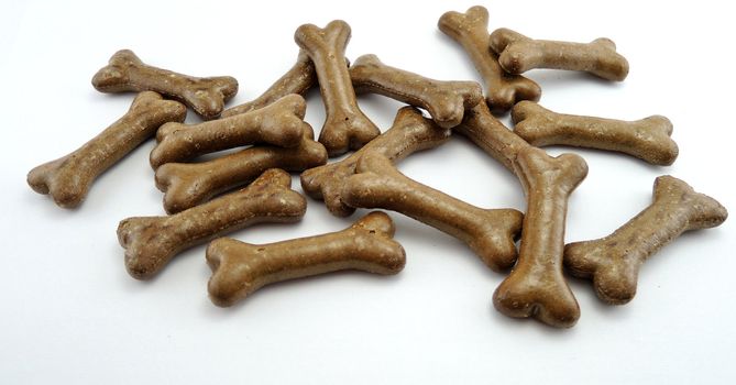 Dog food biscuit shaped like bones