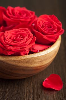 roses in bowl 