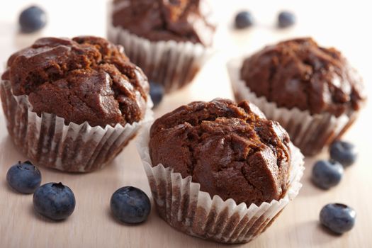 chocolated muffins with blueberry